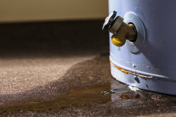 Best Ceiling water damage repair  in Hampshire, IL