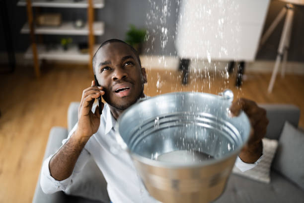 Best Water damage contractors near me  in Hampshire, IL