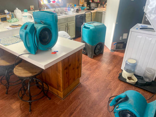  Hampshire, IL Water damage restoration Pros