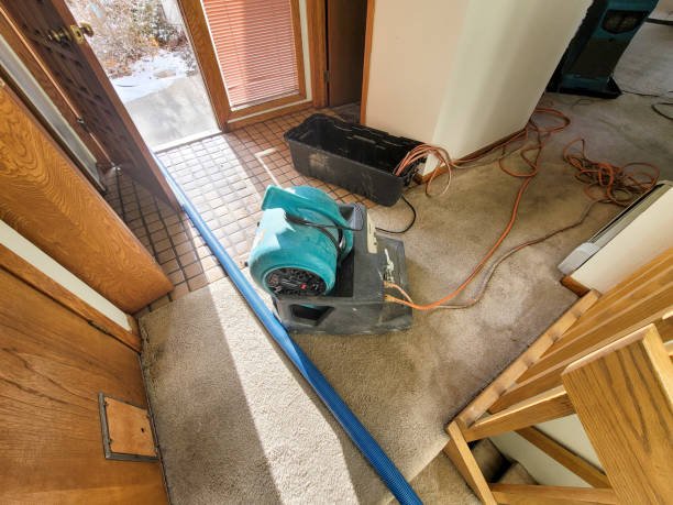 Best Flood restoration services  in Hampshire, IL