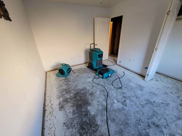 Local water damage restoration in Hampshire, IL
