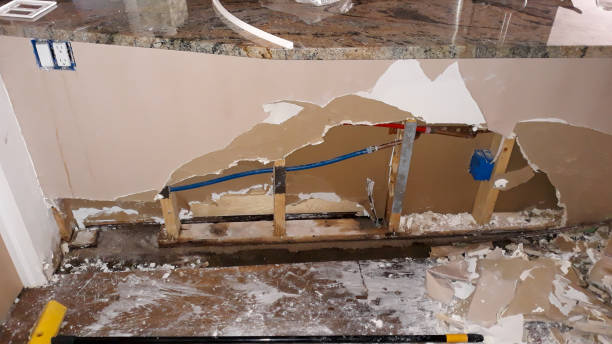 Best Fire Damage Restoration  in Hampshire, IL