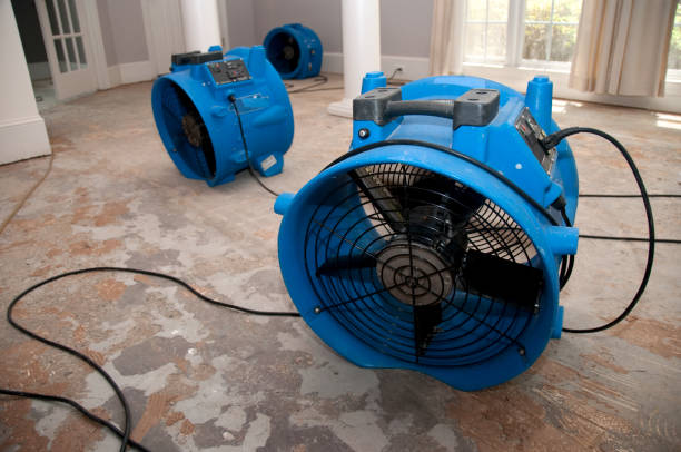 Best Flood restoration services  in Hampshire, IL