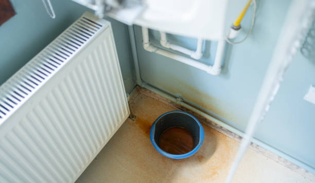 Best Ceiling water damage repair  in Hampshire, IL