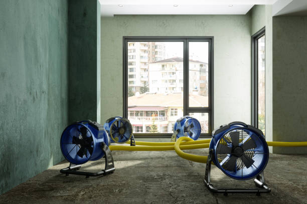 Professional Water damage restoration in Hampshire, IL