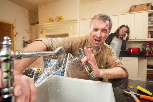 Best Water damage restoration near me  in Hampshire, IL
